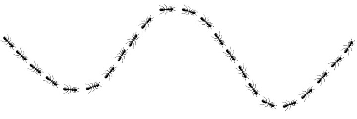 Worker ants trail curve. Ant path isolated in white background. Vector illustration