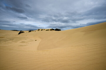 The Big Drift, Wilsons Promomtory, Victoria, Australia, Sand Dunes