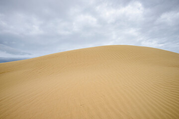 The Big Drift, Wilsons Promomtory, Victoria, Australia, Sand Dunes