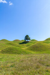 Fototapeta premium 대구시 불로동 고분군