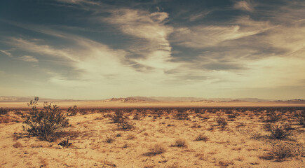 Fototapeta na wymiar California Mojave Desert Raw Landscape