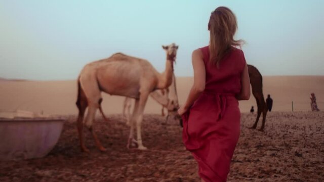 Beautiful girl wearing red dress running barefoot on the sand in the desert of united Arab emirates Dubai, camels standing in the background