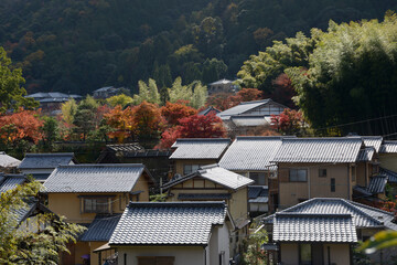 秋の嵯峨野　京都市右京区