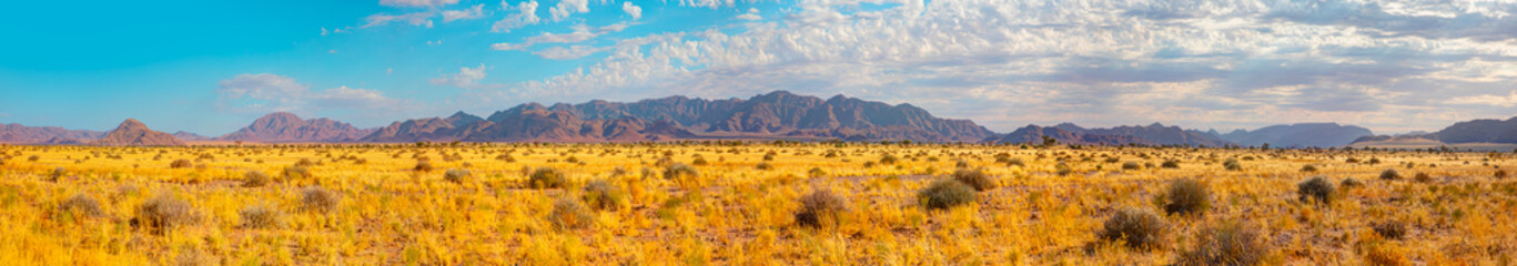 Beautiful lanscape with Brandberg mountain - Damaraland, Namibia 