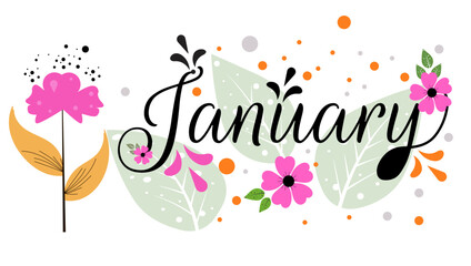 January month vector with flowers and leaves, text hand lettering, Decoration floral. Illustration