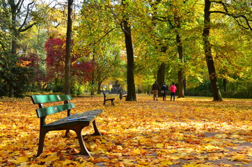 Fototapeta premium autumn view in the park