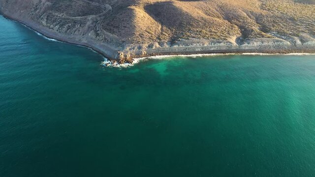 Drone video of schooling cownose mobula rays swimming in the sea of cortez at Cabo Pulmo National Park in Baja California Sur, Mexico