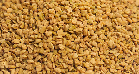 Fenugreek seeds