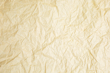 Abstract brown recycled crumpled paper for the background.