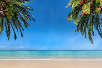 Tropical sandy beach with palm trees and blue sea. Summer vacation and tropical beach concept.
