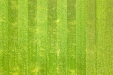Close up aerial view of surface of green freshly cut grass on football stadium in summer.