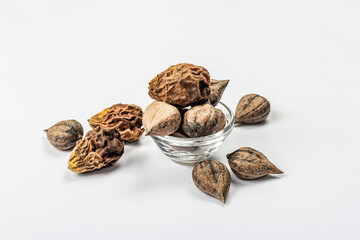 Ripe Juglans cordiformis Maxim or heart-shaped walnut isolated on white background