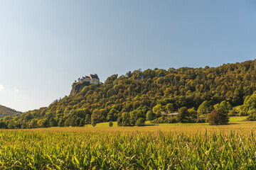 Blick über ein Feld auf Schloss Werenwag, Hausen im Tal, Naturpark Obere Donau, Landkreis...