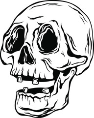 Hand drawn human skull isolated on white. Isolated vector on light background