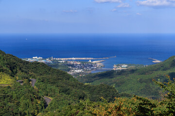 Fototapeta na wymiar 屋久島の中腹から見る宮之浦港の全景