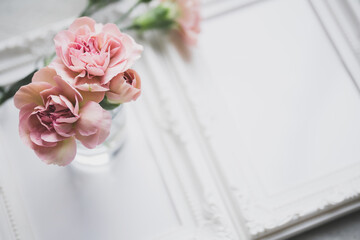 カーネーション　ピンクの花の背景　母の日　結婚式