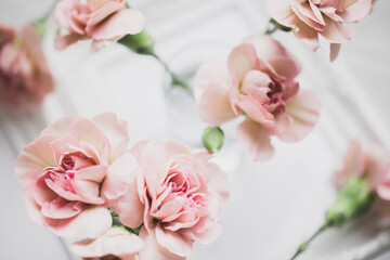 Obraz na płótnie Canvas カーネーション　ピンクの花の背景　母の日　結婚式