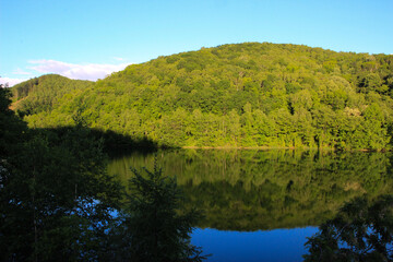 新緑の森を映す湖面