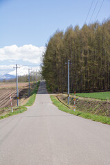 春の農村の道路と冠雪の山並み
