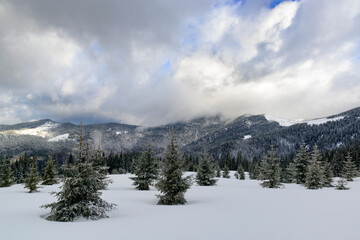 Fototapeta na wymiar Winter day in a snowy mountains