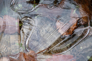 福島の庭で張る氷、下はまだ水