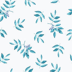 Watercolor drawing turquoise leaves and blue berries of bird cherry on a white background. Seamless pattern.