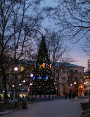 christmas tree at night