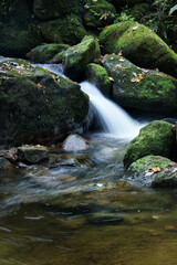 Water rushing over rocks covered in moss in a small stream on a fall day in the Black Forest of Germany.