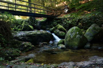 Bridge over a creek on a path, Felsenweg on a fall day in the Black Forest of Germany.