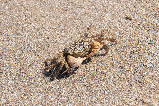 atu photos, images, assets | Adobe Stock