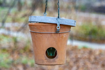 Handmade birdhouse-feeder hanging on a tree in an autumn park