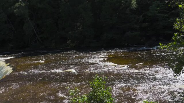 River in the forest; river water downstream from a waterfall; some white foam on water. 