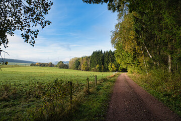 In Saarland forests, meadows and solitary trees in autumn look.