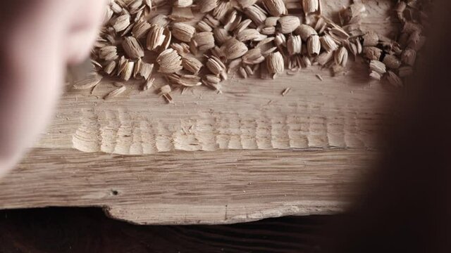 view from above. wood carver processes a oak wood board with a chisel. woodworking process with hand tools in a carpentry workshop. wood carving concept