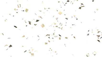 紙吹雪 銀色 パーティクル サイズ中 白背景 [別Verあり]