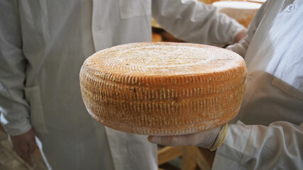 Close up of male farmer hands holding big fresh exclusive yellow tasty cheese round on wooden table with sunny milky farm on background. Countryside lifestyle. Eco business. Healthy nutrition.