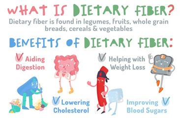 What is dietary fiber. Benefits. Healthcare, anatomy, medicine image.