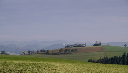 Herbst im Mühlviertel; Oberösterreich; Österreich 