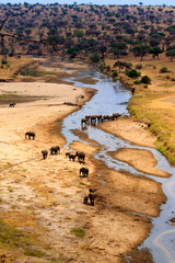 Herd of african elephants at the Tarangire river in Tarangire National Park, Tanzania. View from...