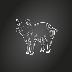 Fototapeta na wymiar chalk drawn pig isolated on black background, engraving style, illustration of farm animal.