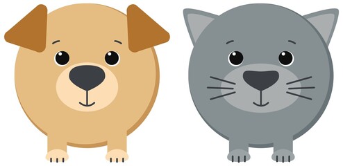 Dog and cat isolated on white background