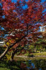 日比谷公園の紅葉と池