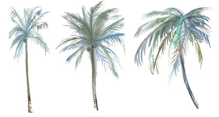 Set of three illustrations of Coconut trees painted in watercolor on wet isolated on white background for textile design and art production