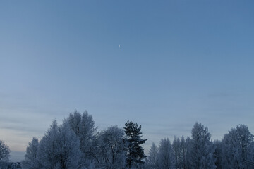 A crescent moon in the  sky.