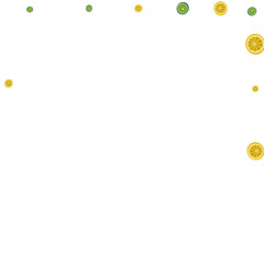 Green Citrus Background White Vector. Fruit Piece Decoration. Yellow Tropical Lemon. Bright Colorful Set.