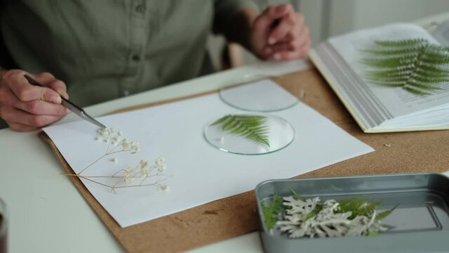 woman fixes glass plates. A picture of dried flowers. Master class on creating frame with Herbarium in tiffany technique in stained glass.