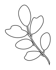 Hand drawn branch with leaves. Doodle vector illustration. Isolated icon on the white background. EPS 10.