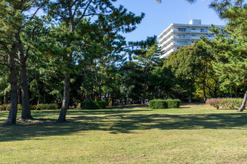 Fototapeta premium 神奈川県横浜市金沢区の海の公園