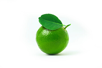 Fresh green lemon. Black shadow on isolated white background.