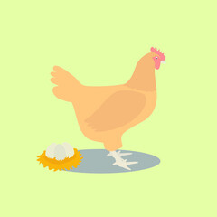Chicken Animal Cartoon Flat Vector